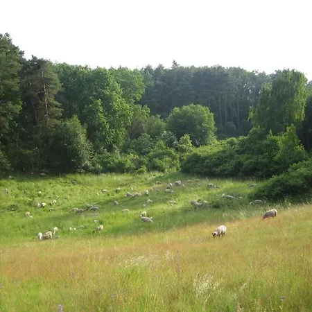 Bergschaeferei Liebenhof