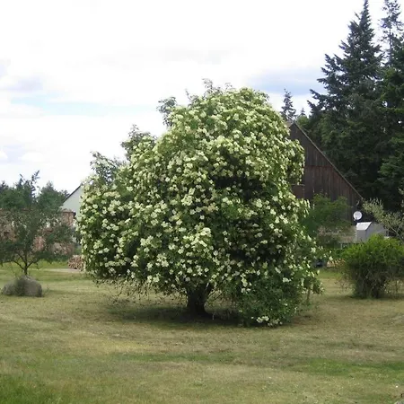 Bergschaeferei
