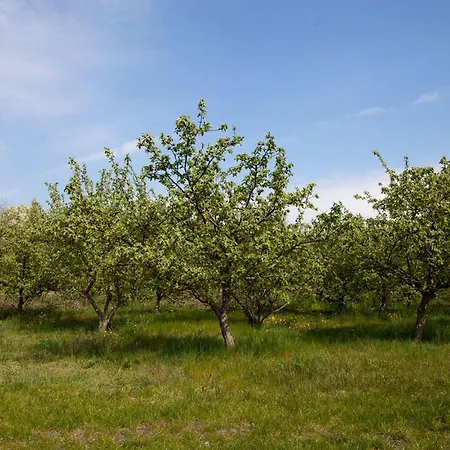 Bergschaeferei * Liebenhof
