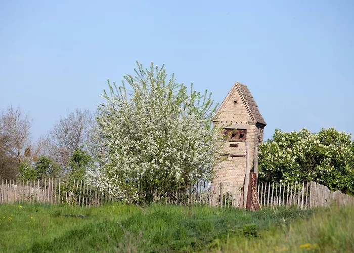 ファームステイ Bergschaeferei